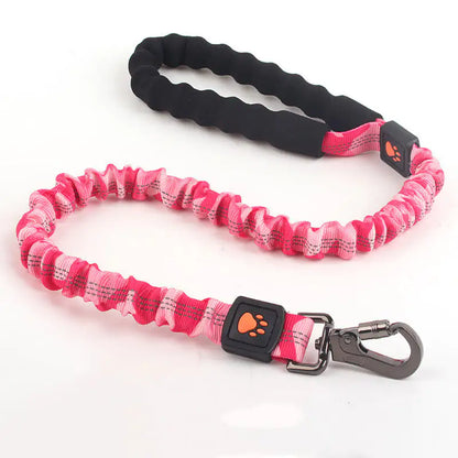 Big Pup Flexi-Leash