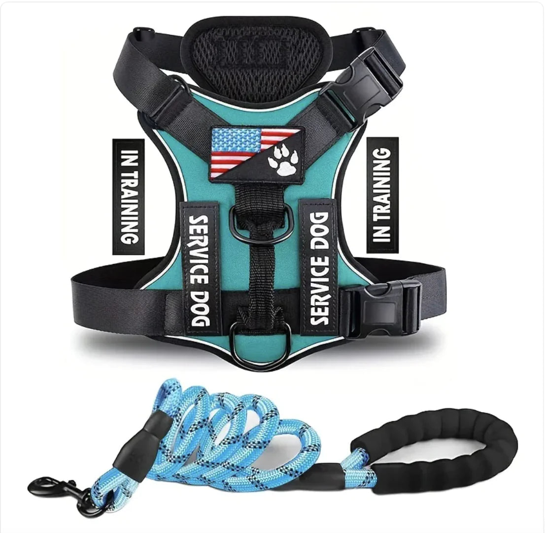 Adjustable Dog Harness & Leash Set