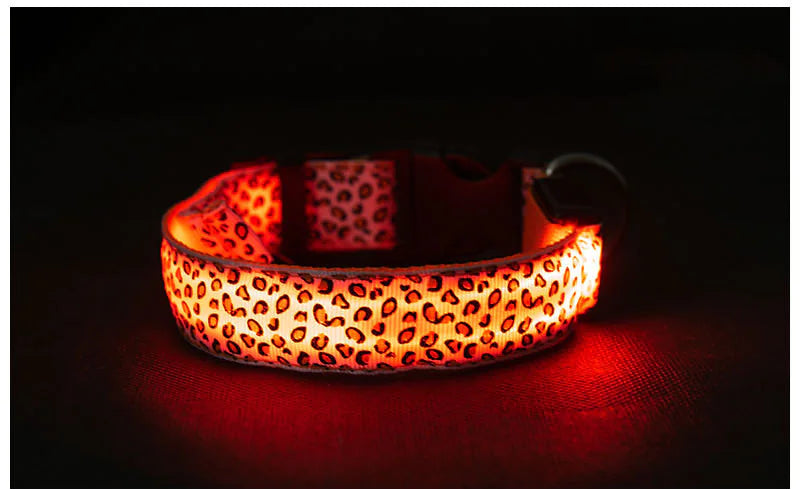LED Anti-Lost Pet Collar with Leash