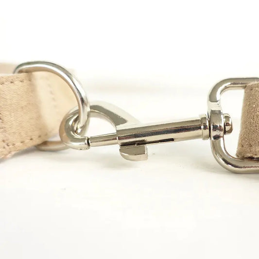 EcoChic Teddy Dog Leash