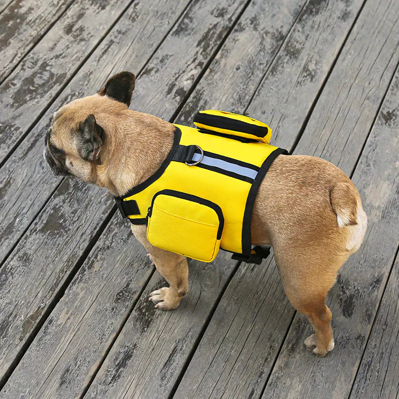 Portable Multi-function Pet Backpack with Leash
