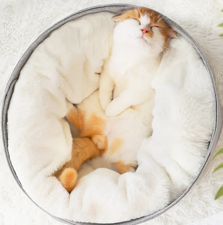 Cozy Pet Bed for Cats and Small Dogs in Winter Design