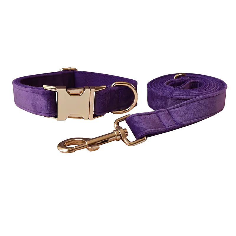 Alloy Carabiner Dog Leash and Pet Collar Combo