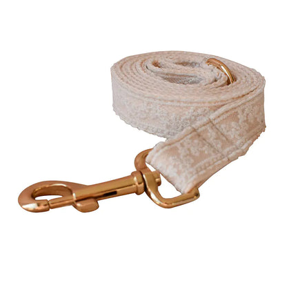 Lace Pet Collar with Metal Buckle Design