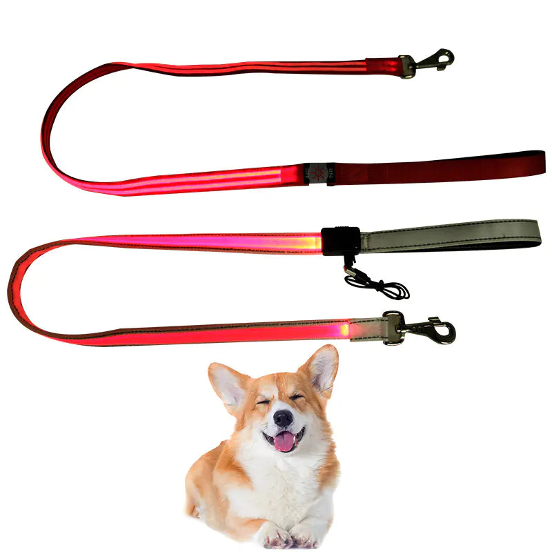 LED Pet Leash for Night Walks - Durable and Thick