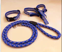 NightGlow Dog Leash Set