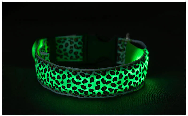 LED Anti-Lost Pet Collar with Leash