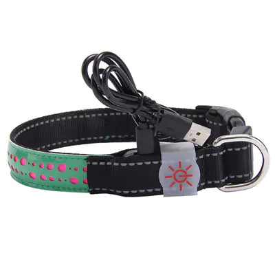 LED Light-Up Pet Collar