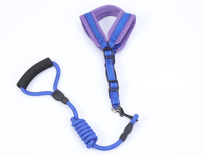 Pet Supplies: Mesh Dog Harness and Leash Set