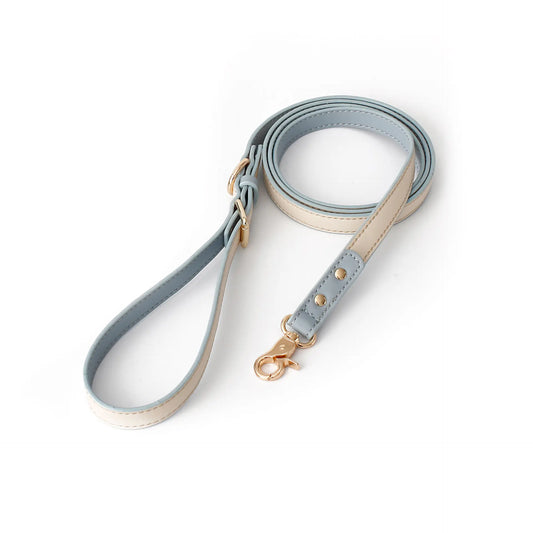 Elegant Multi-Purpose Leather Dog Leash