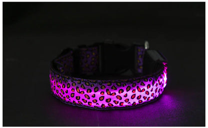 LED Anti-Lost Pet Collar with Leash