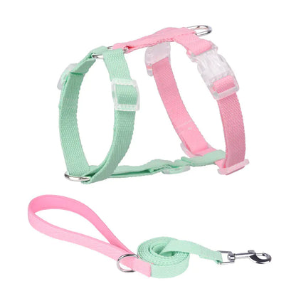 Color-Coded Anti-Breakaway Pet Leash and Chest Strap