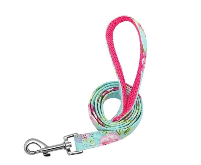 Nylon Leash for Pet Dogs