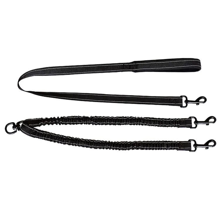 Dual Dog Leash with Reflective Features