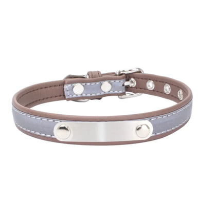 Stainless Steel Pet Collar with Comfort Nylon Leash