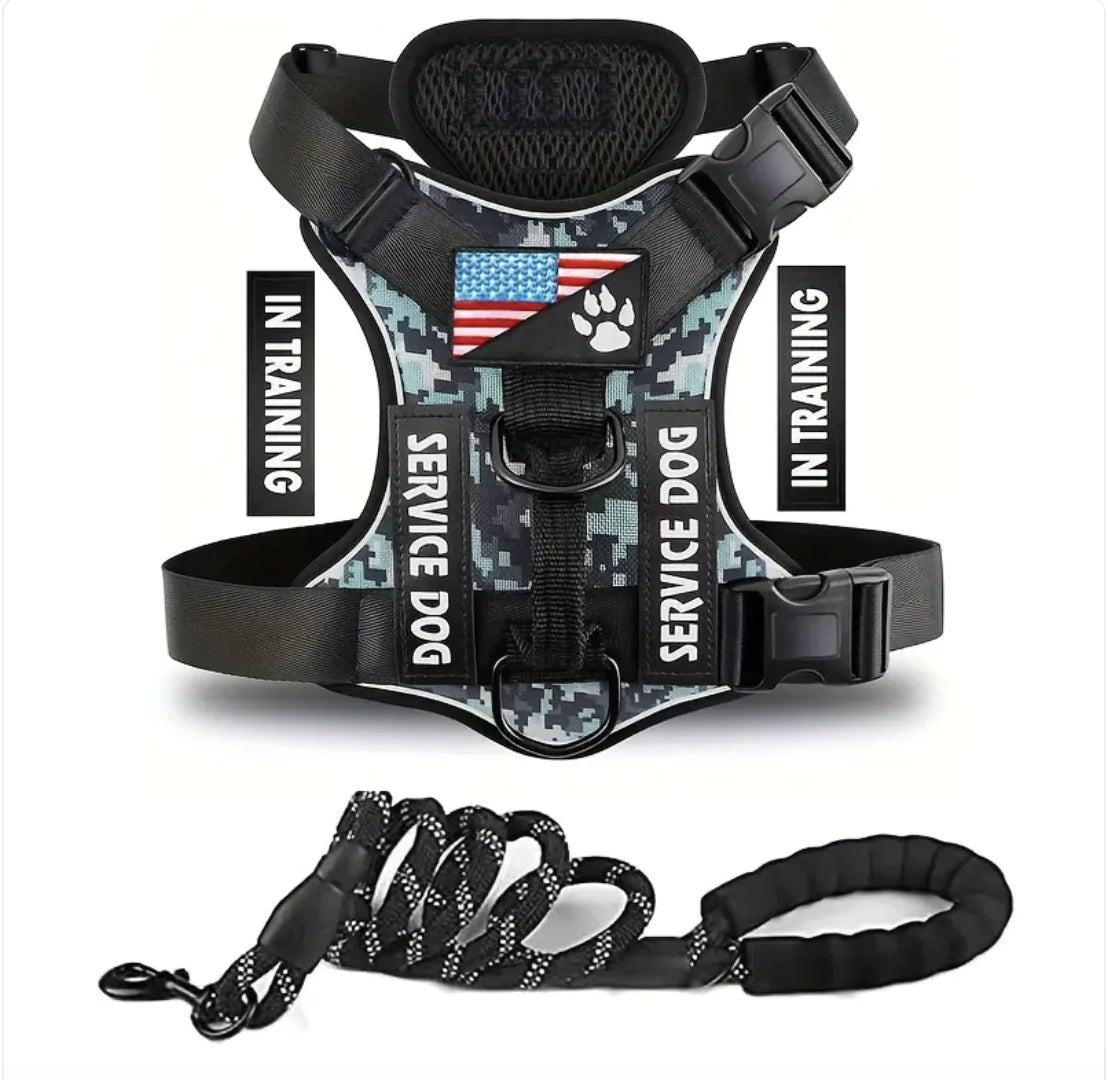Adjustable Dog Harness & Leash Set