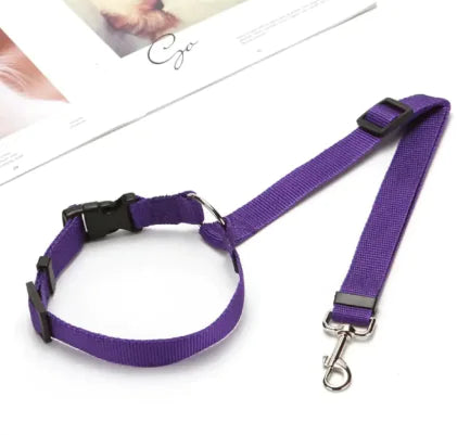Adjustable Two-in-One Pet Car Seat Belt Leash