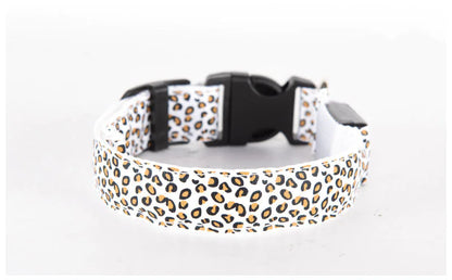 LED Anti-Lost Pet Collar with Leash