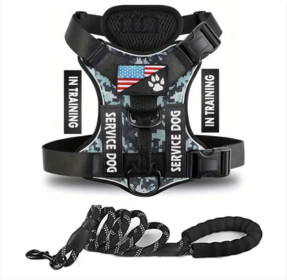 Adjustable Dog Harness & Leash Set