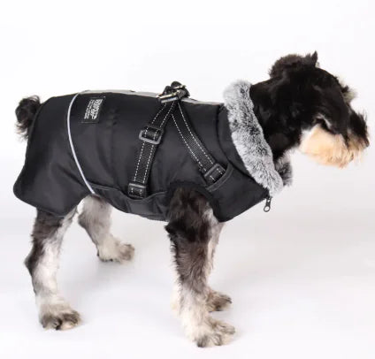 Pet Warm Fur Collar Cotton-padded Jacket