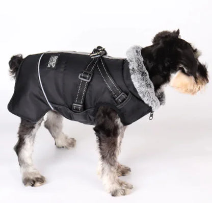 Pet Warm Fur Collar Cotton-padded Jacket