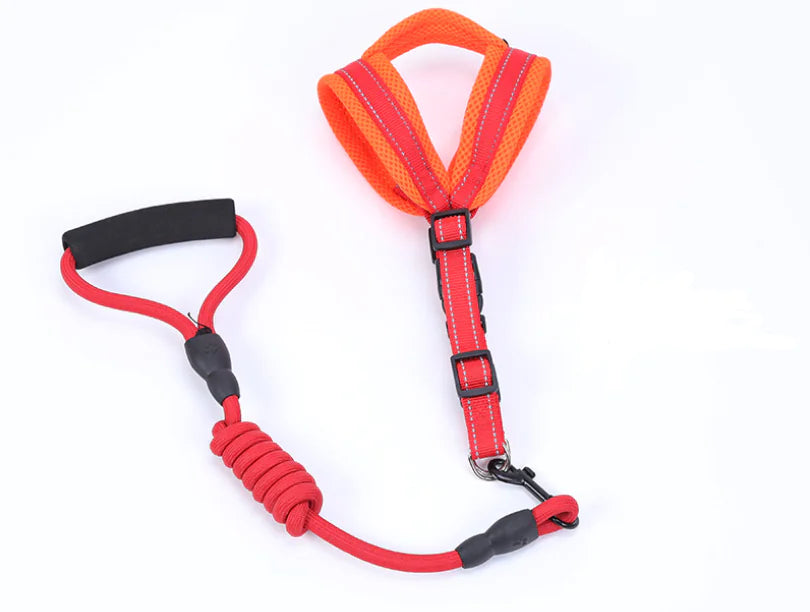 Pet Supplies: Mesh Dog Harness and Leash Set