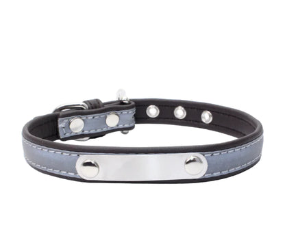 Stainless Steel Pet Collar with Comfort Nylon Leash